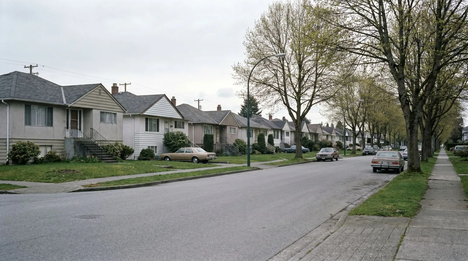 Photograph of a typical Vancouver east side residential street showing a long row of older single family homes from the 1950s and 1960s with no visible new construction, mature street trees, taken in spring with overcast lighting