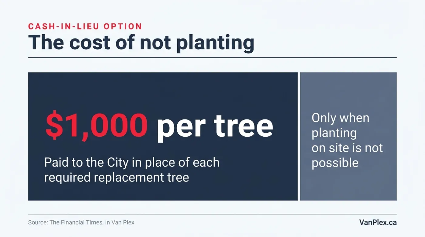A large 1,000 dollar figure panel explaining the cash-in-lieu rate paid to the City for each required replacement tree that cannot be planted on site