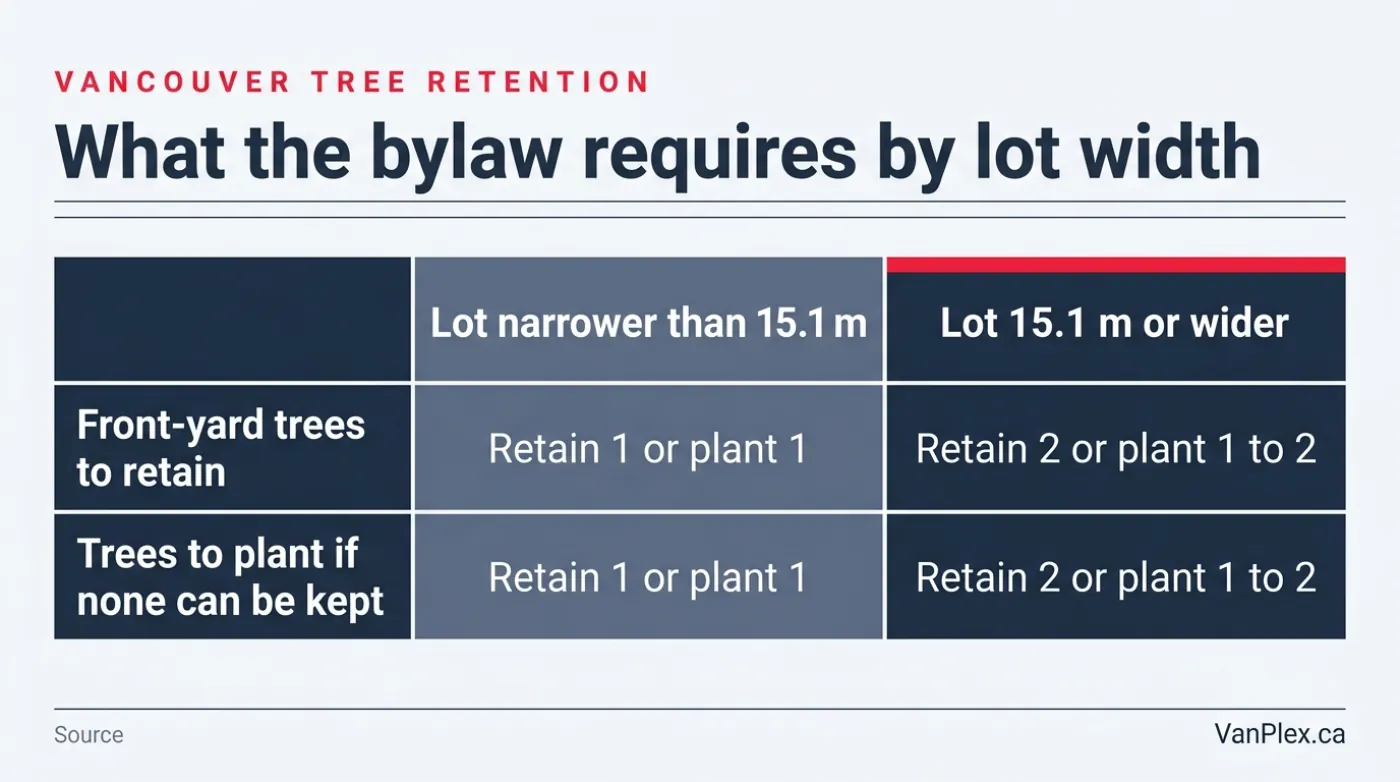 Comparison table of Vancouver tree retention requirements by lot width, showing one front-yard tree for lots narrower than 15.1 metres and two for lots 15.1 metres or wider